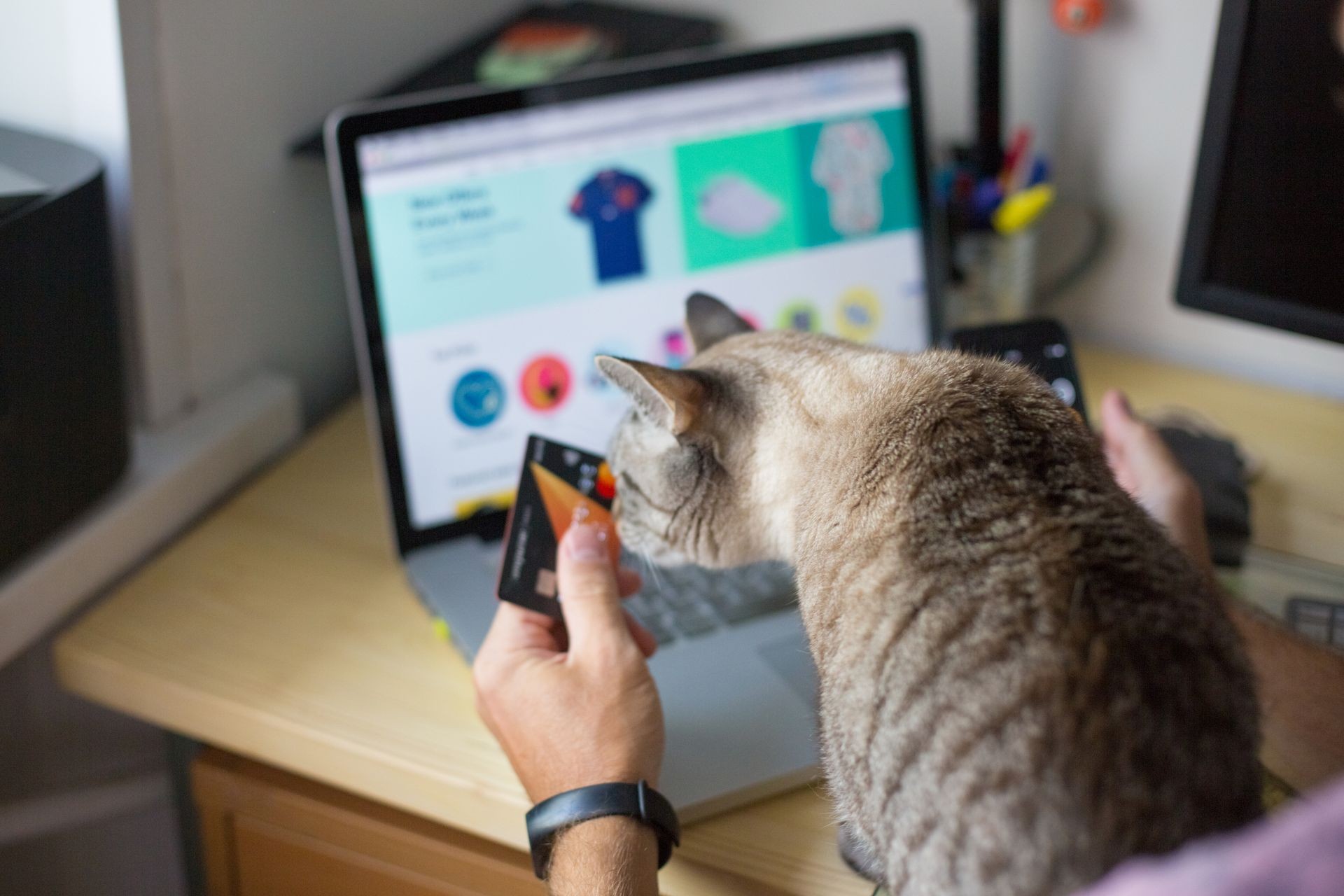 Man with a grey cat shopping online, holding credit card 